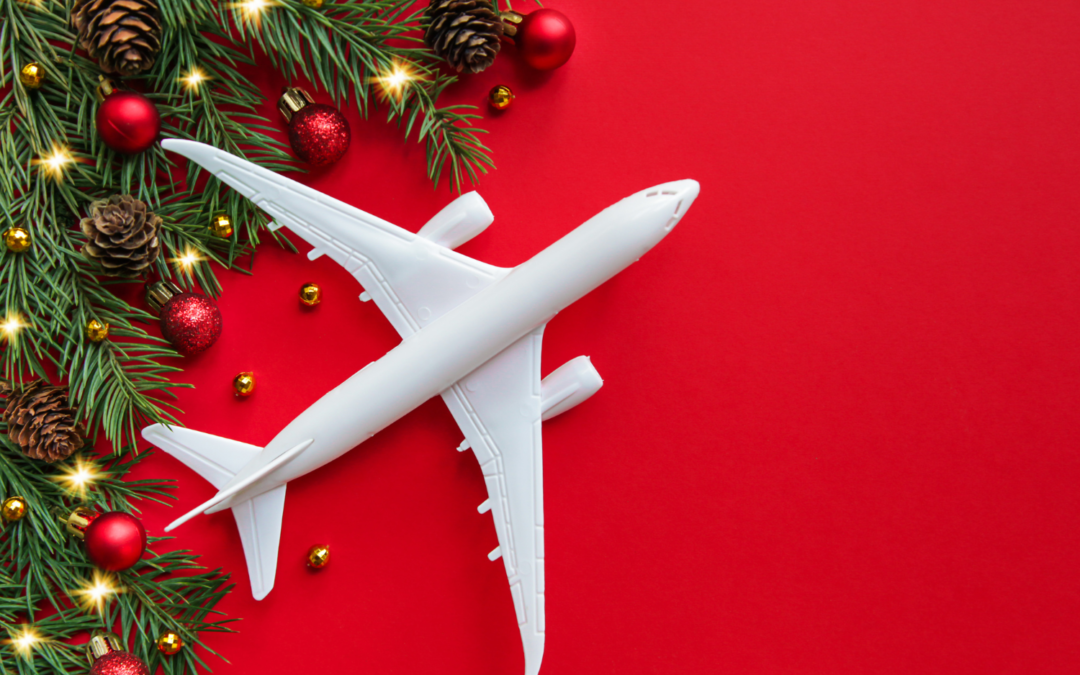 5 Tips for Safe and Sound Travel This Holiday Season